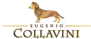 collavini_logo.gif